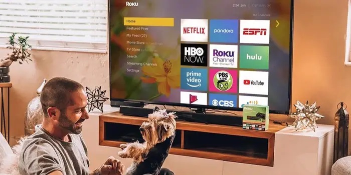 Roku App Development