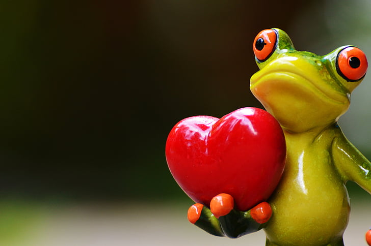 Frog Lovers