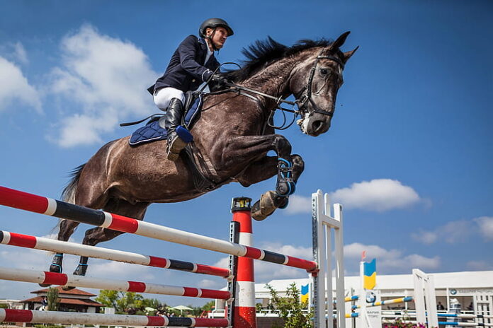 Horse Jumping